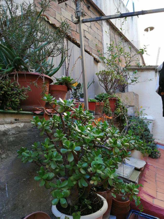 Pension Bertolin Βαρκελώνη Εξωτερικό φωτογραφία
